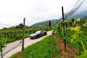 Le Jaguar nella zona del Prosecco e Cartize (122/152)